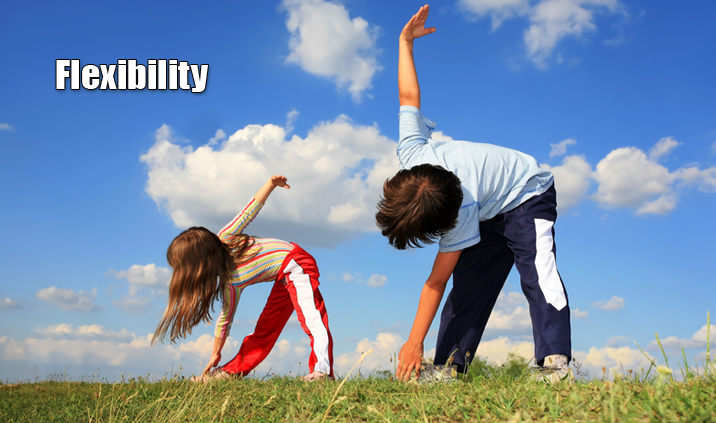 Flexibility