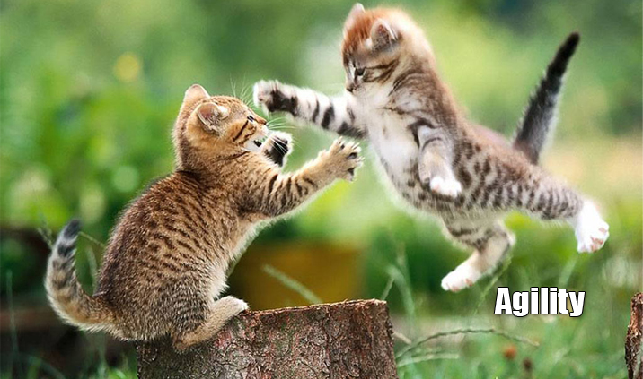 Agility
